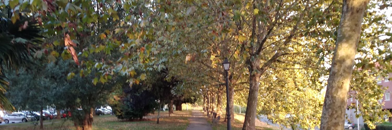 Anamari_SL's profile banner image