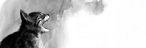 HoultTumblr's profile banner image