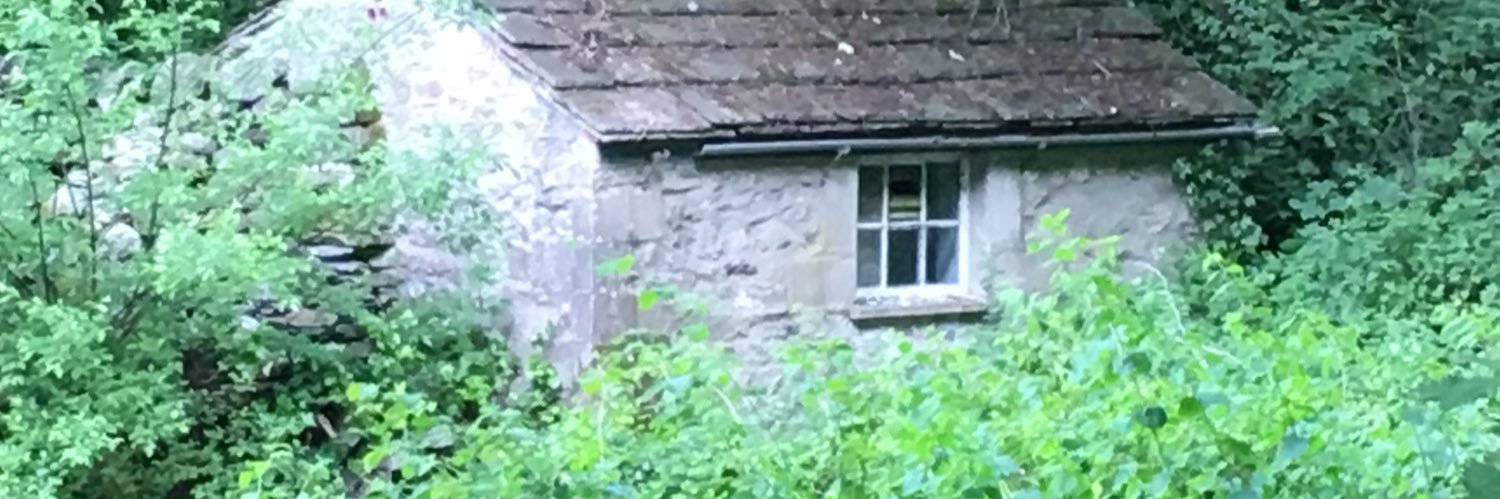 Gillian Higham banner