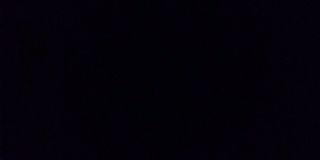 insanezoella's profile banner image