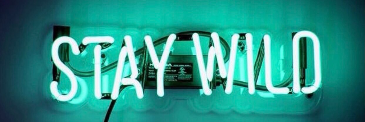 camiwahlander's profile banner image