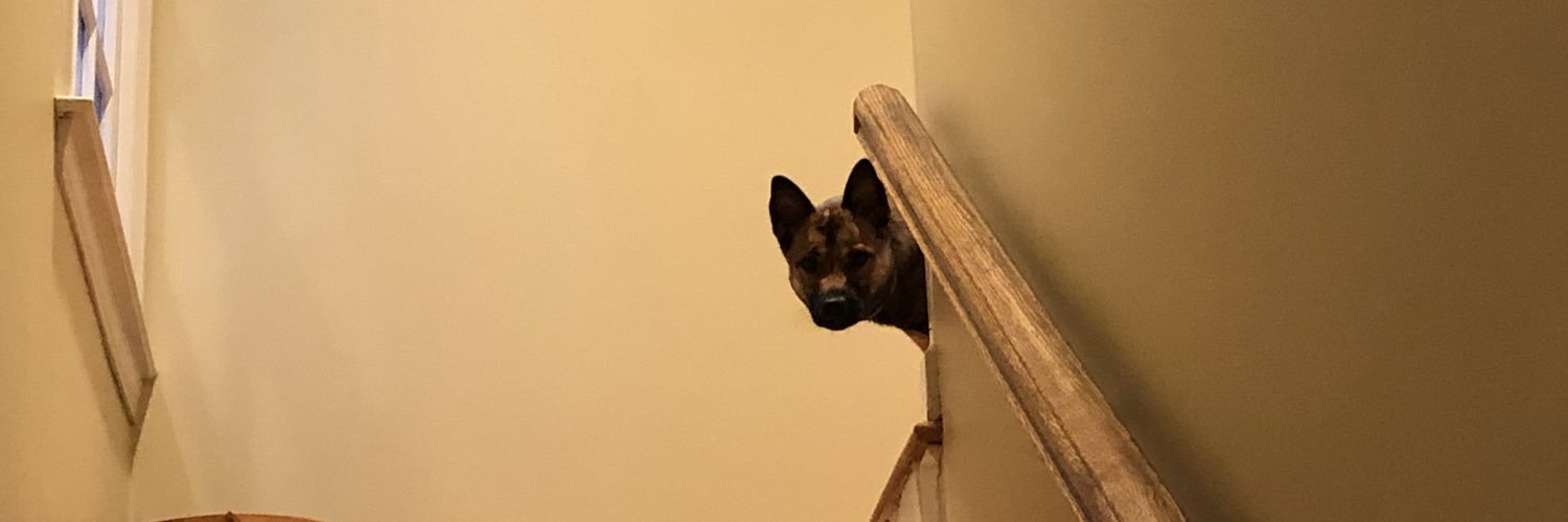 erindawson95's profile banner image