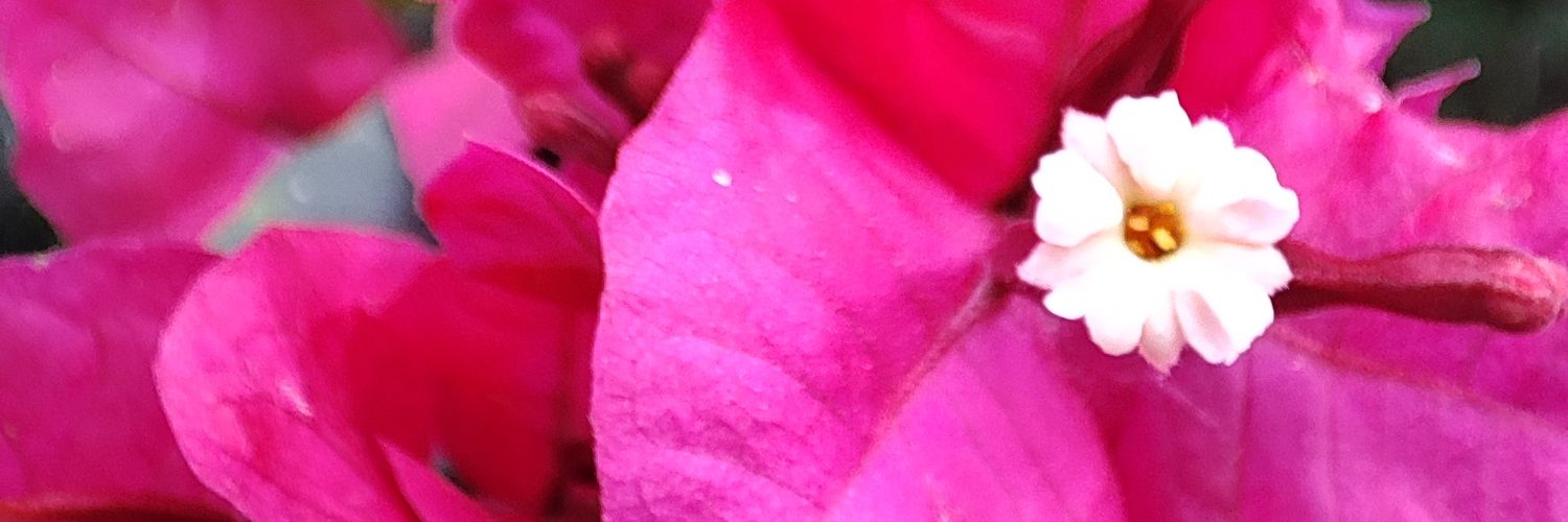 Gabicoliveiraa_'s profile banner image