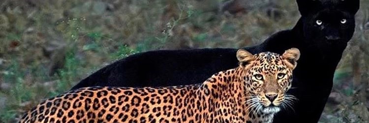 BrennS2's profile banner image