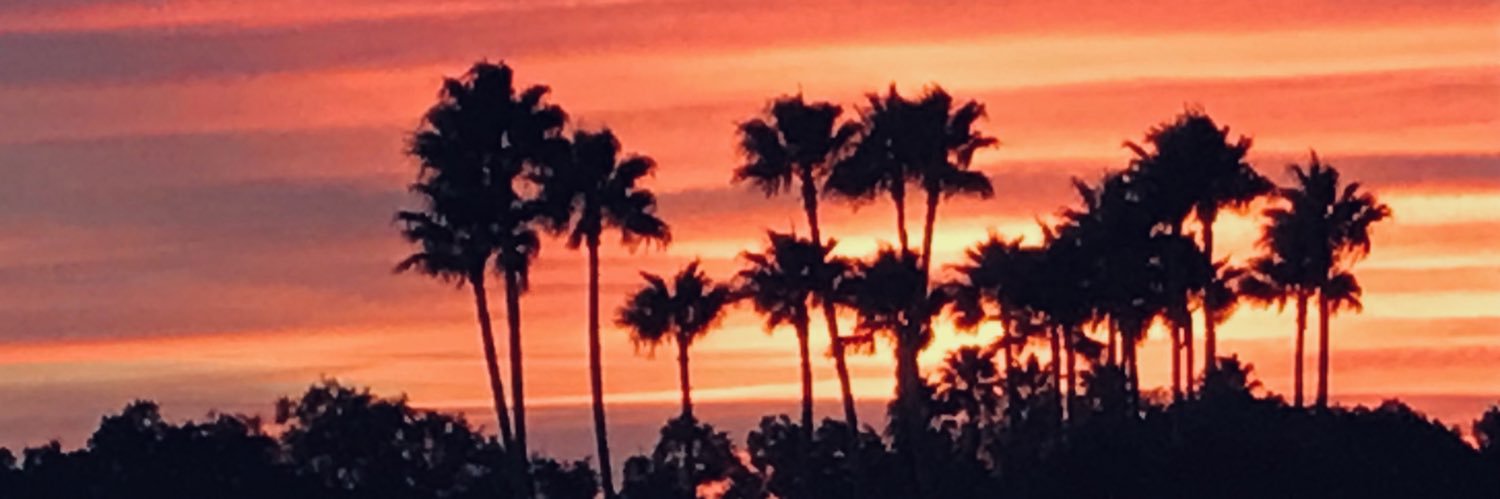 Mairelyntweets's profile banner image