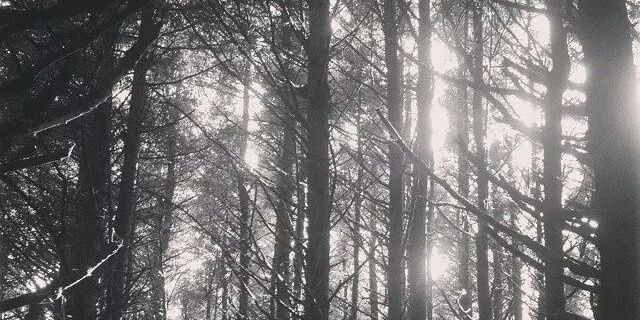 ZachRose52's profile banner image