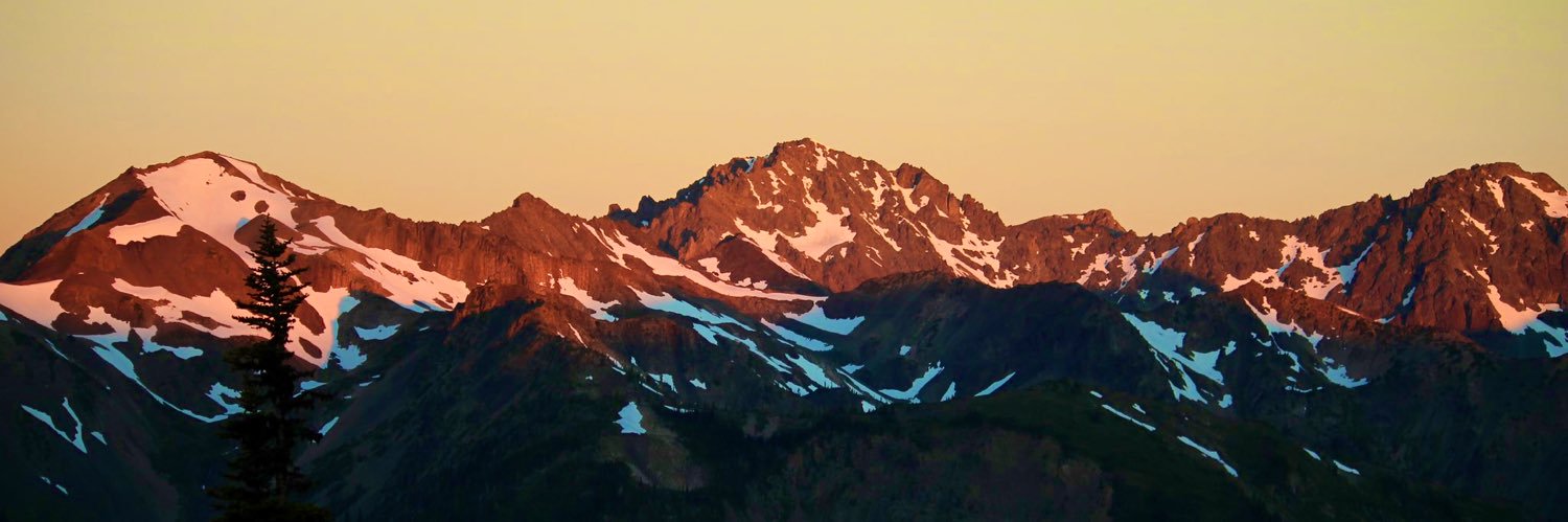 𝚝𝚒𝚗𝚢 𝚗𝚒𝚗𝚊 banner
