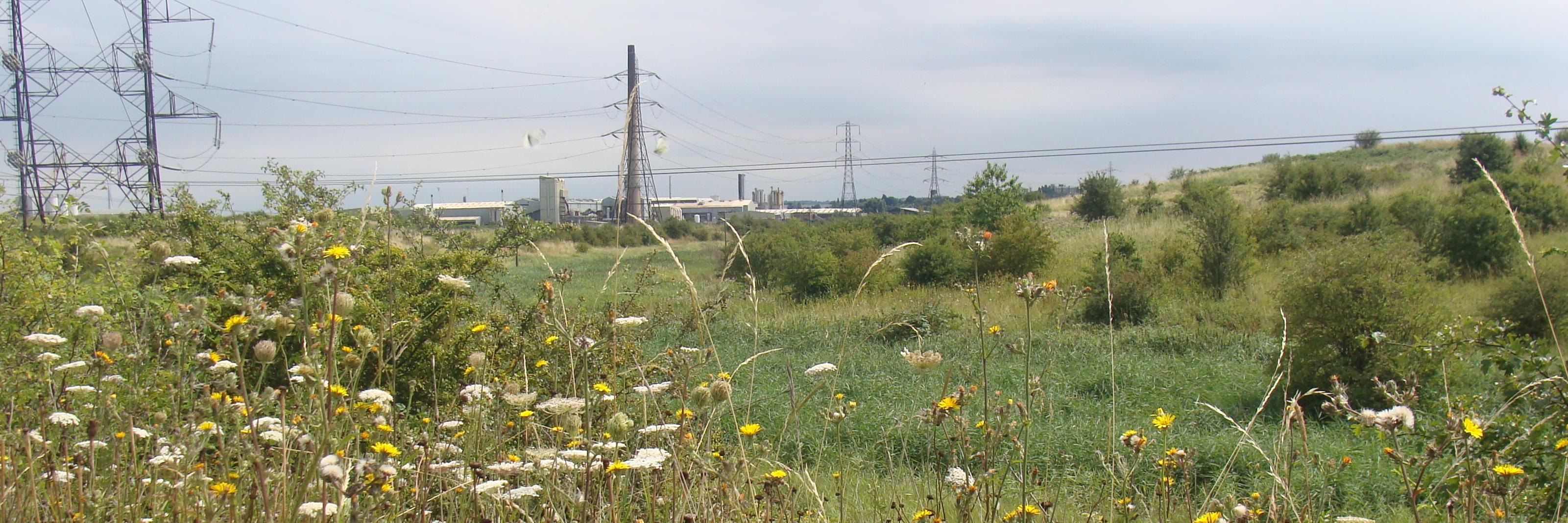 SaveSwanscombe's profile banner image