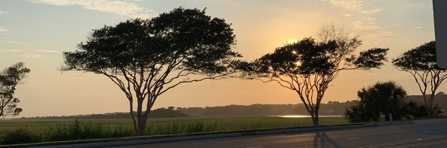 _sylaswilliams's profile banner image