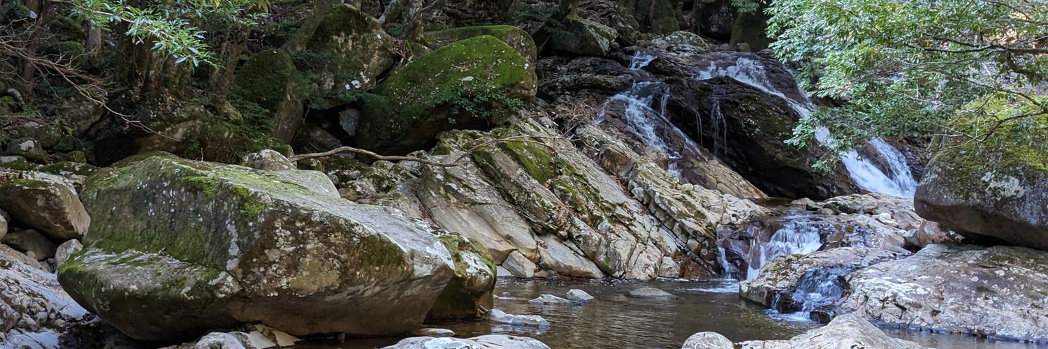 largemacwild's profile banner image