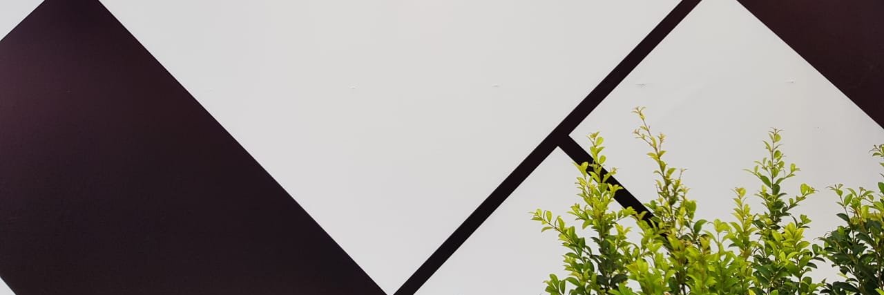 twig_collab's profile banner image