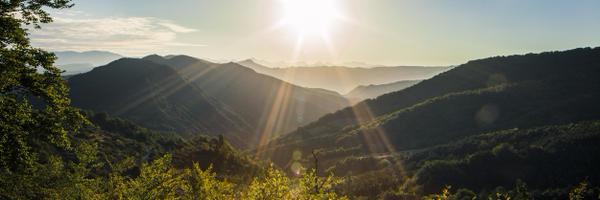 Sanoflore Profile Banner