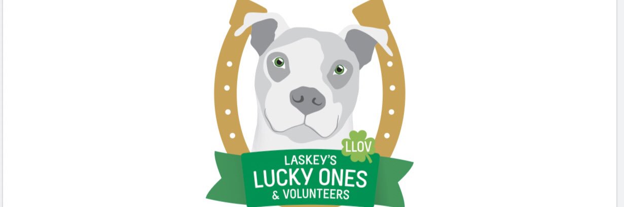 LLOVRescue's profile banner image