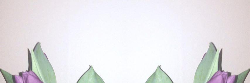 Property banner