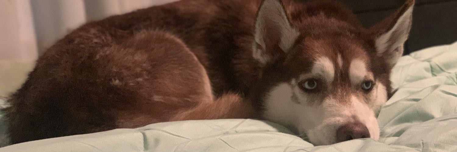 kaylaswimmer's profile banner image