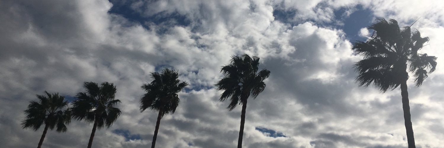 mummertlauren's profile banner image