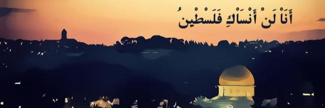 MTawafsha's profile banner image