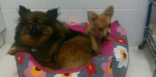 amaia_S's profile banner image