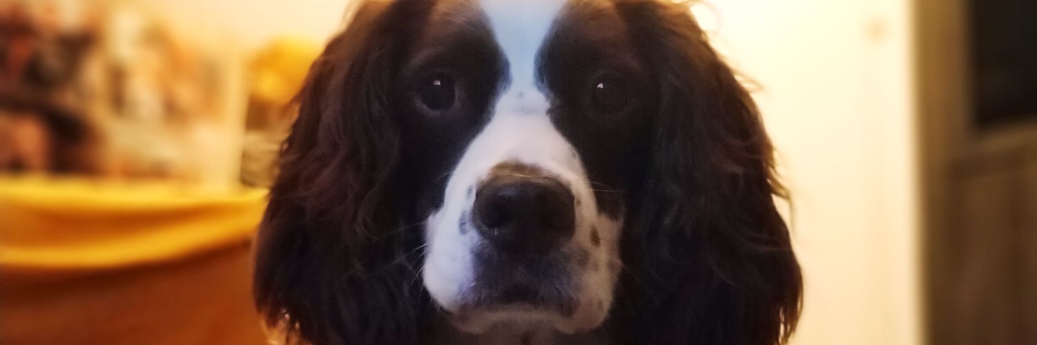 lorna182's profile banner image
