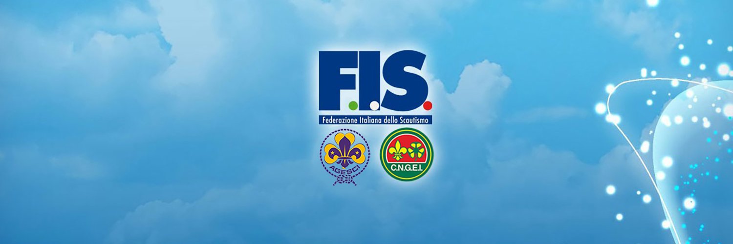 FIS banner