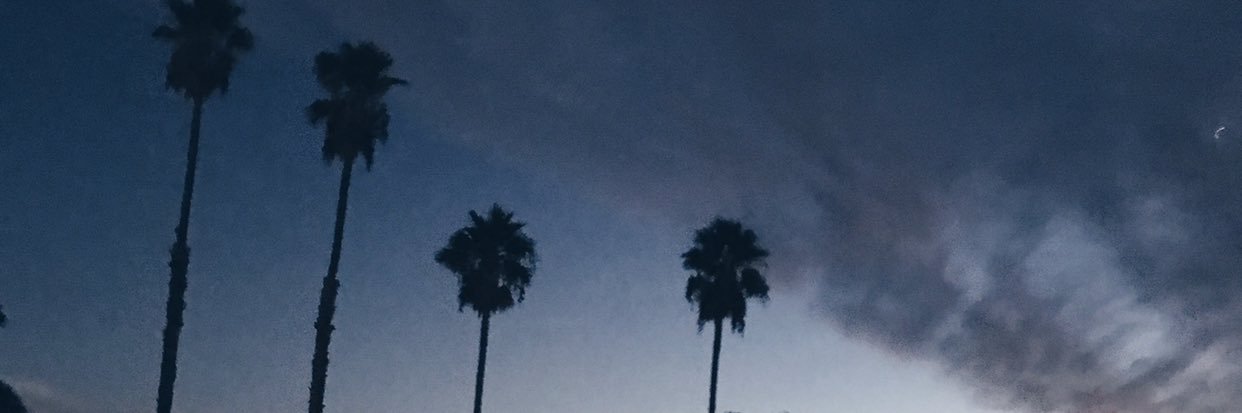 Tyler Adams banner