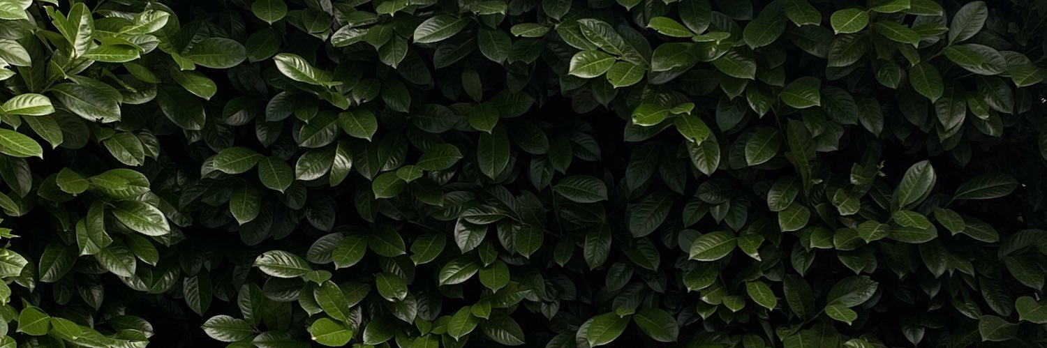germariand's profile banner image