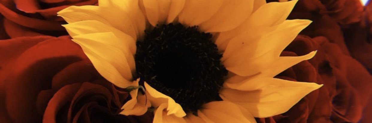 MaiMizzy's profile banner image