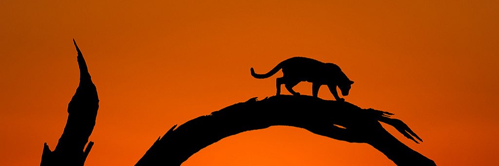 AresTheBest's profile banner image