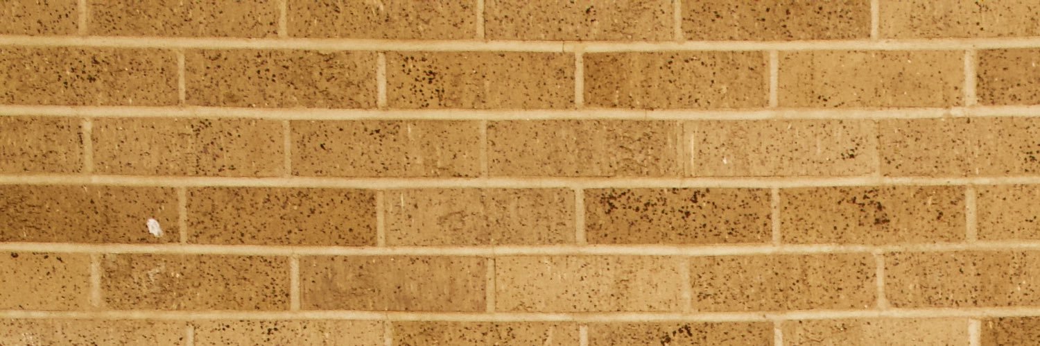 thatdudesims's profile banner image