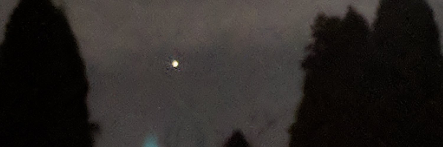 RickyDurds banner