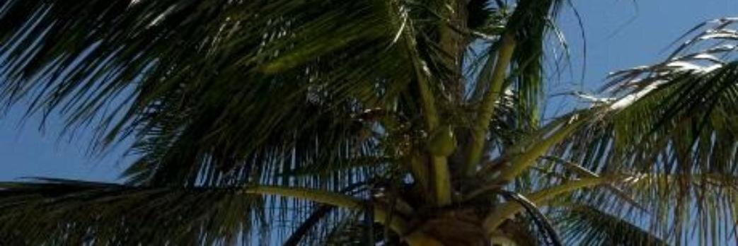 MichelleNBC4's profile banner image