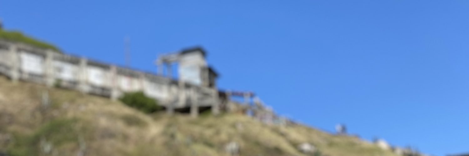 iicarx's profile banner image