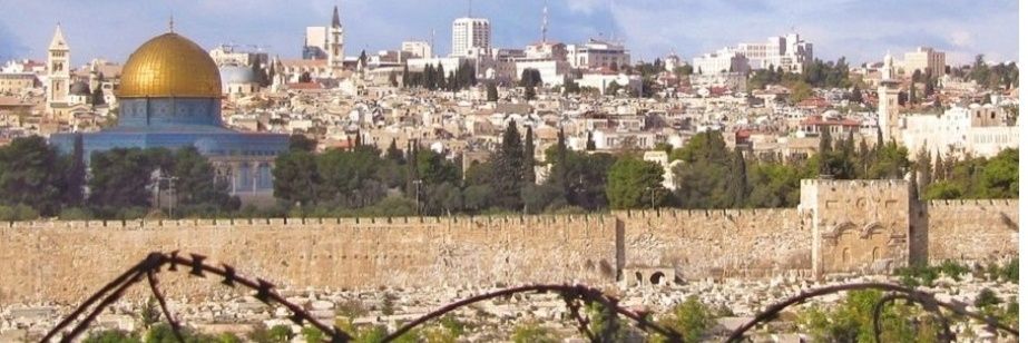 PalestineWonder's profile banner image