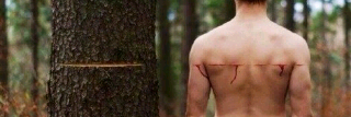Pedro_ppedri's profile banner image