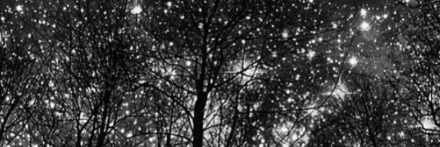 JustGayGirl's profile banner image