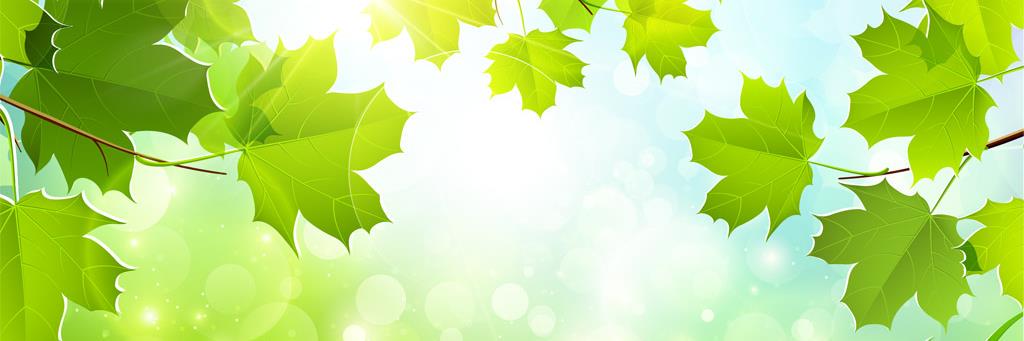 pity_koko's profile banner image
