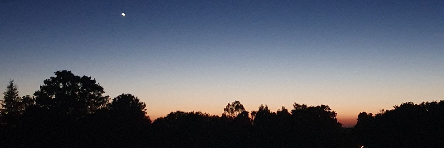 dair_wolf's profile banner image