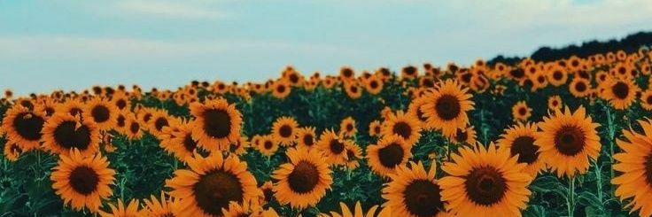 russara_'s profile banner image