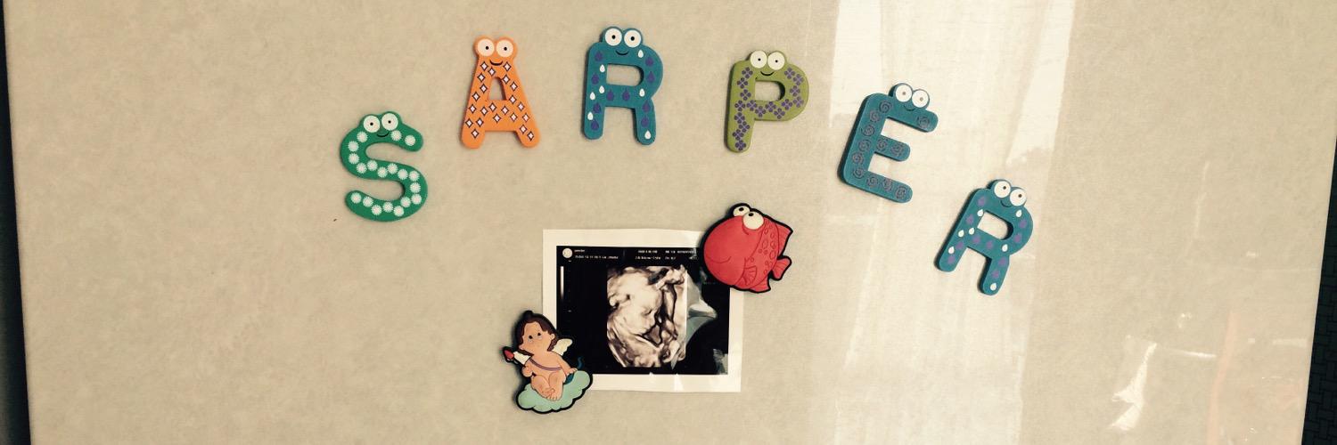 sarpemder's profile banner image