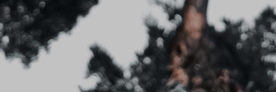 LettyRettob's profile banner image