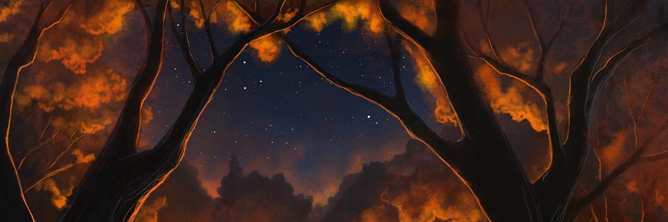 SwiftsnSparrows's profile banner image