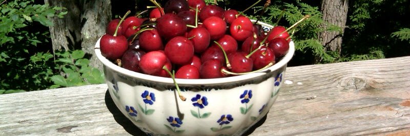 Larkin Warren banner