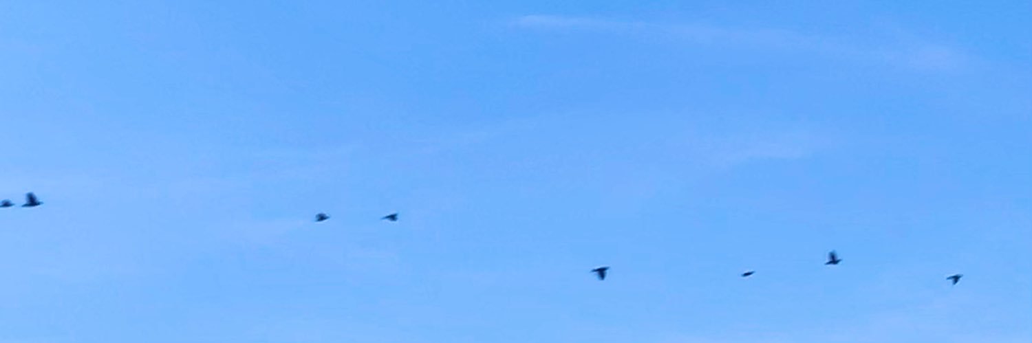 NancyGomezR18's profile banner image