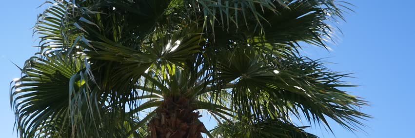 APA_SC's profile banner image