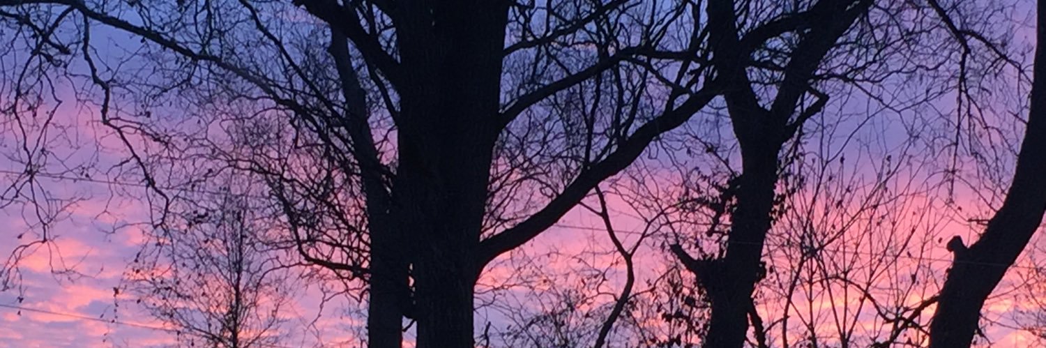 judeannd's profile banner image