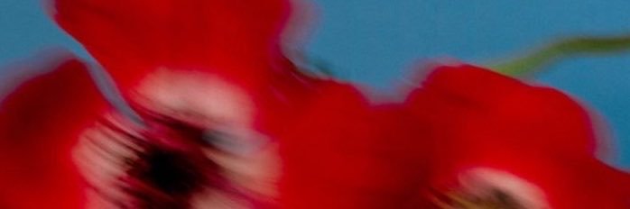 ccc21pi's profile banner image