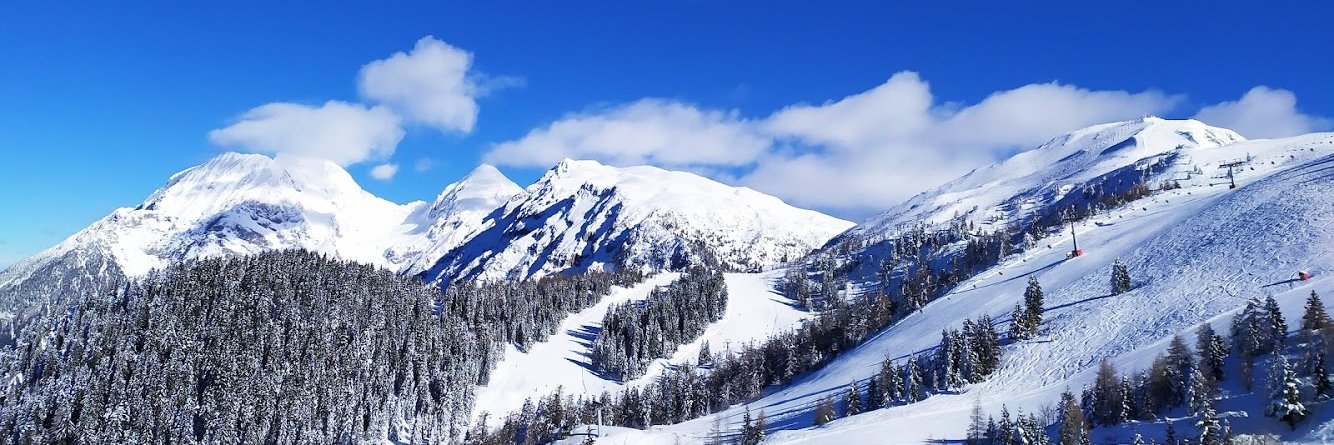 Gregor Gajič banner