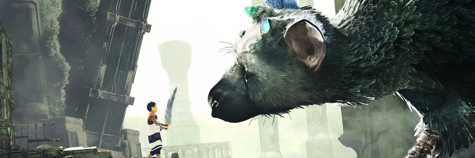 DogFacePig's profile banner image
