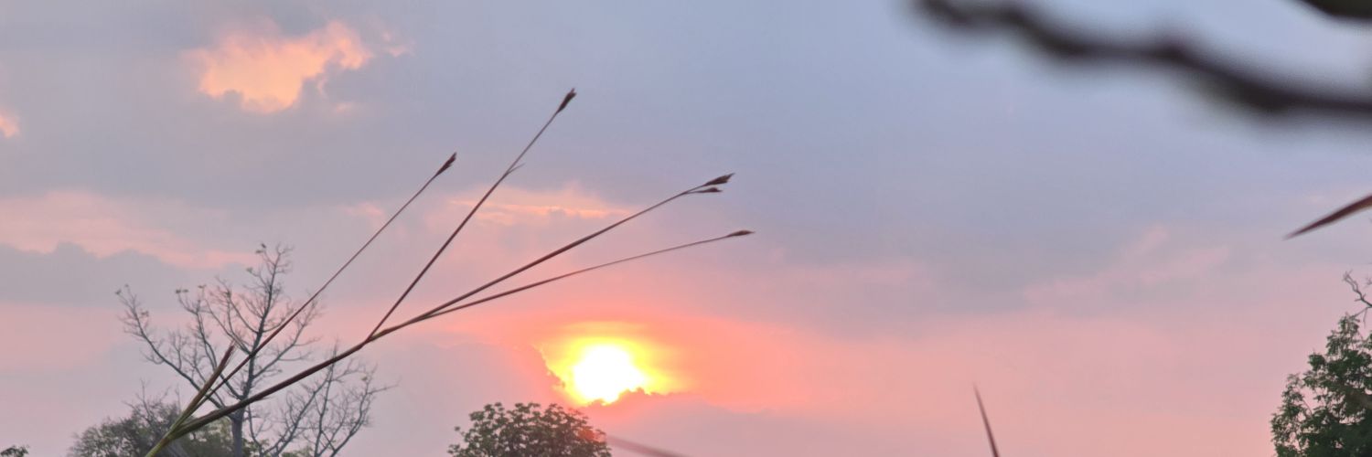 podcharaj12's profile banner image