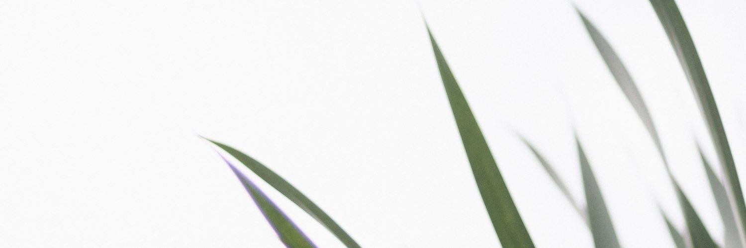 johnhpham's profile banner image